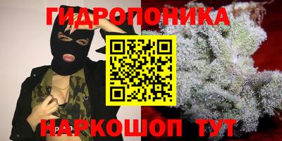альфа пвп Брянск